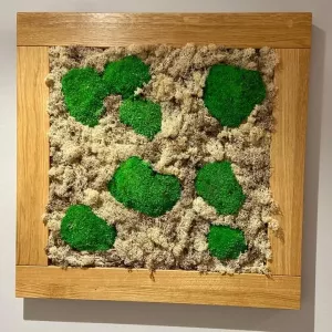 Mechové obrazy / Mech a lišejník