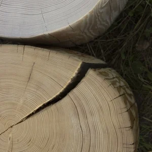 Masivní dřevěný prvek / špalek SHAM, set 2 ks