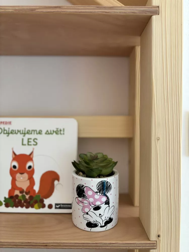 Dětská domečková knihovna z masivu