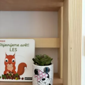 Dětská domečková knihovna z masivu